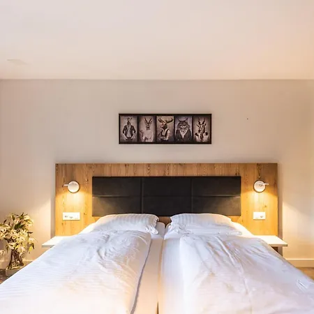 & Modern By Apartment Zermatt